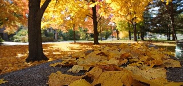 comité technique parc et jardins septembre 2021